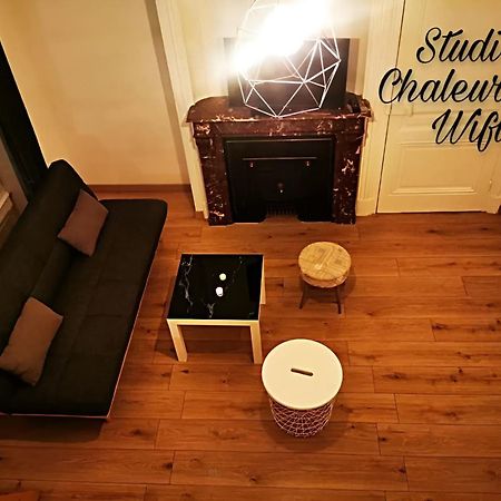 La Croisade-Studio-Hyper Centre Tassin- Suite 1 Luaran gambar