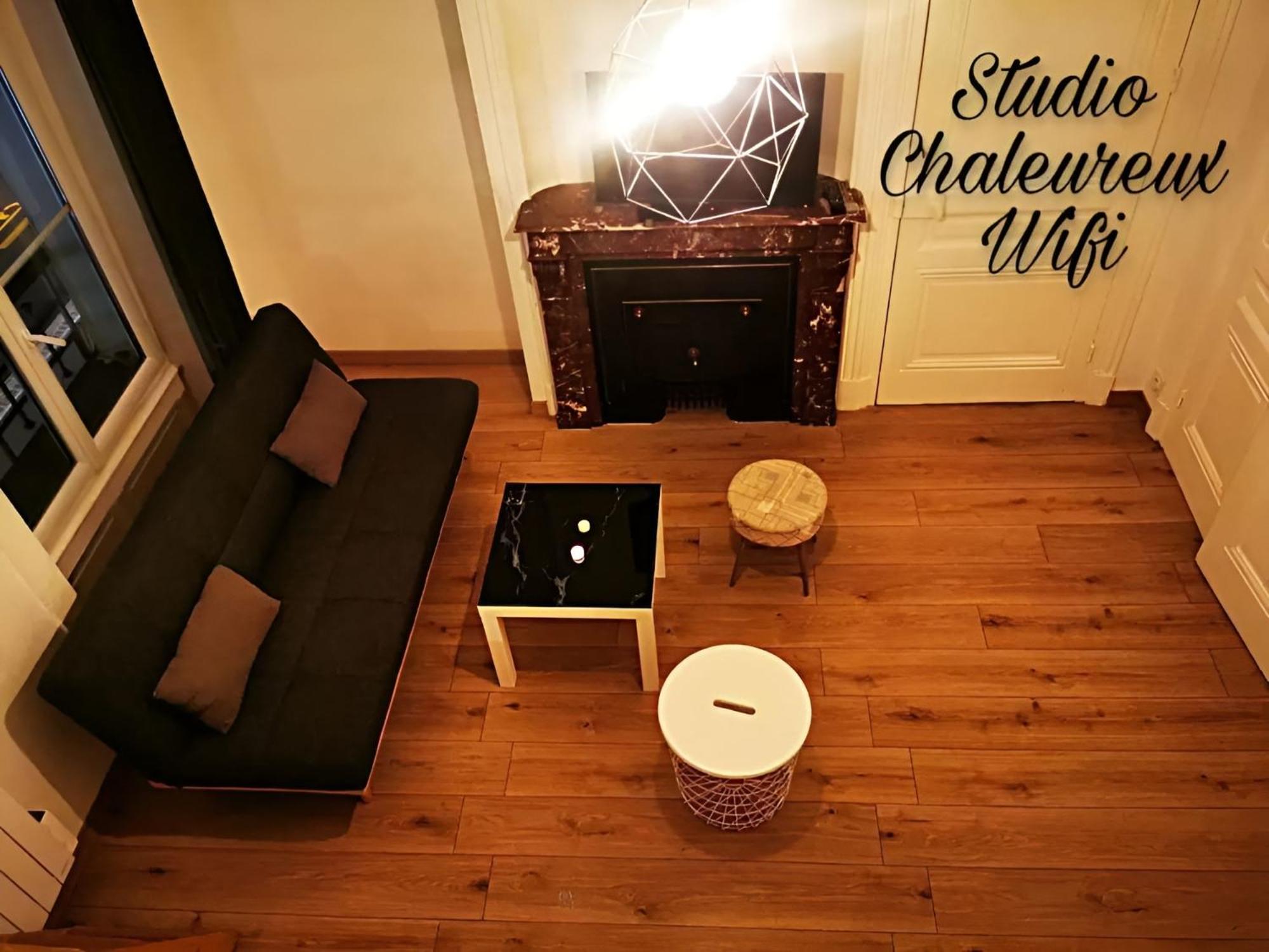 La Croisade-Studio-Hyper Centre Tassin- Suite 1 Luaran gambar
